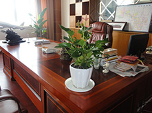 辦公室案例-粉掌-天長(zhǎng)鳥(niǎo)